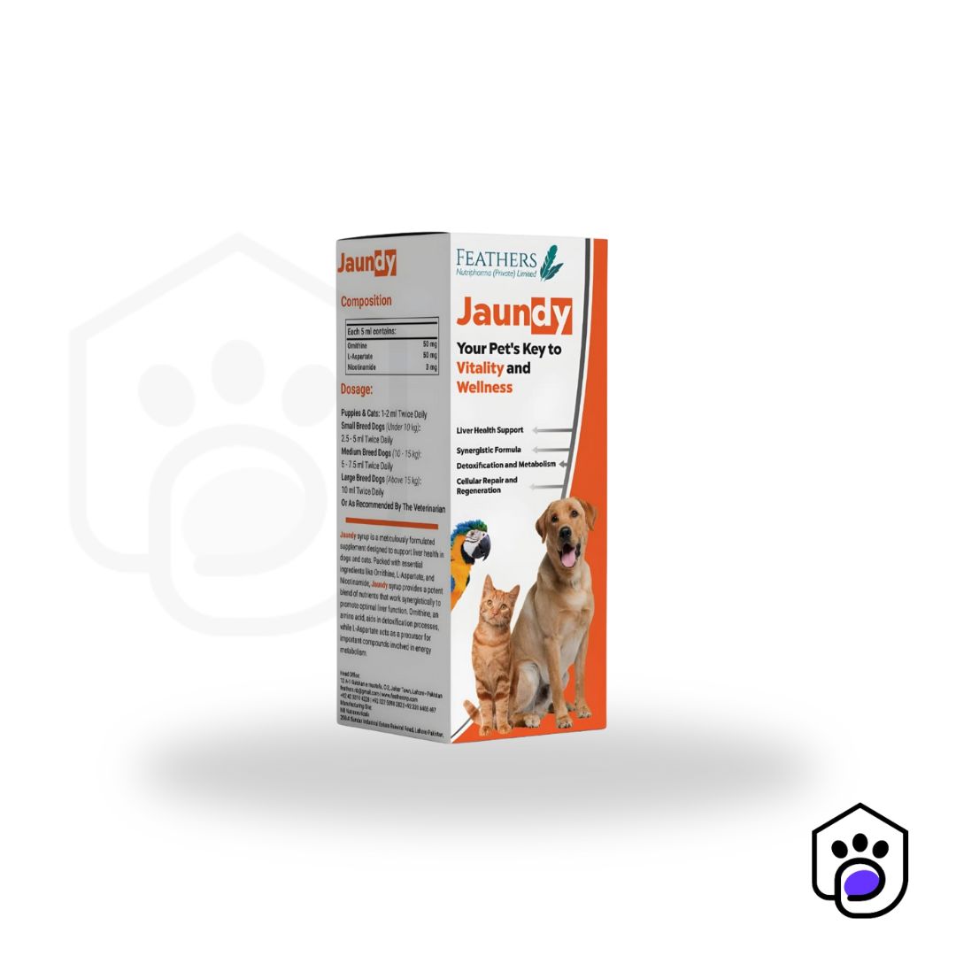 Jaundy Liver Detoxifier