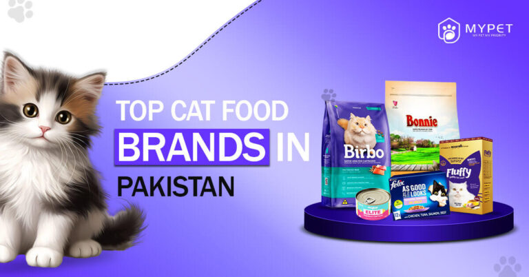 Cat Food Brands In Pakistan
